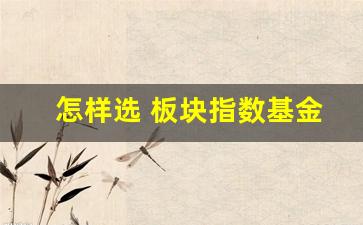 怎样选 板块指数基金股票(基金买板块基金还是指数基金)_https://www.dongshengweixin.com_科创板_第1张